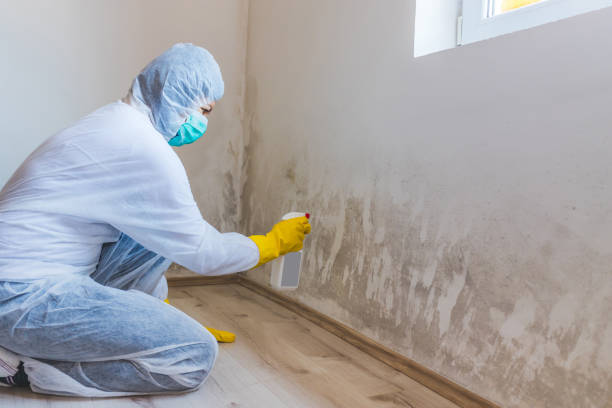 Licensed Mold Testing service in Houtzdale, PA - WQB Mold Removal