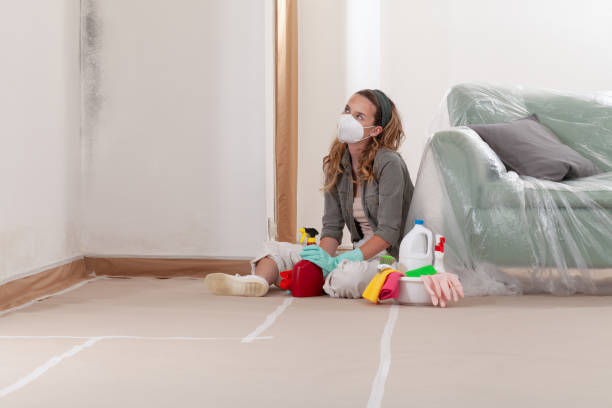 Reliable Mold Testing contractor in Houtzdale, PA by WQB Mold Removal